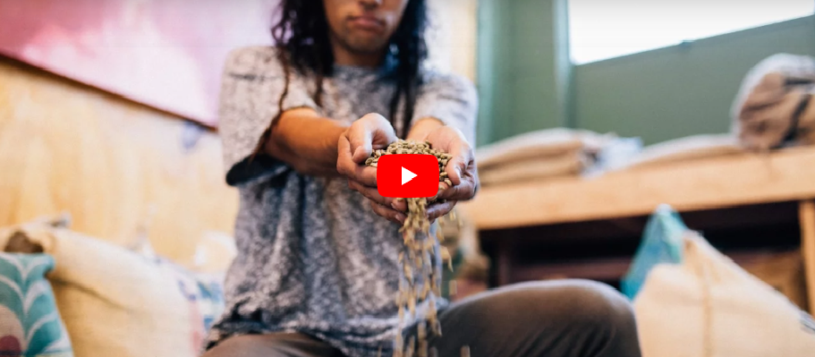 Cocos Cafe Whangarei introduction video